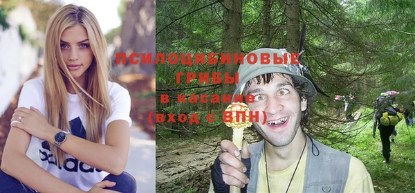 индика Михайловка