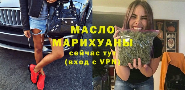 индика Михайловка