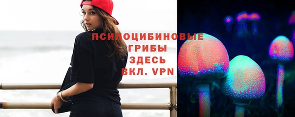 индика Михайловка
