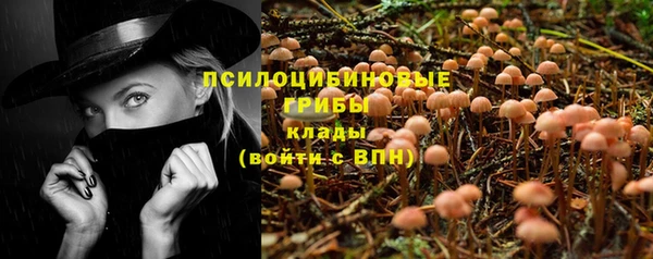 индика Михайловка