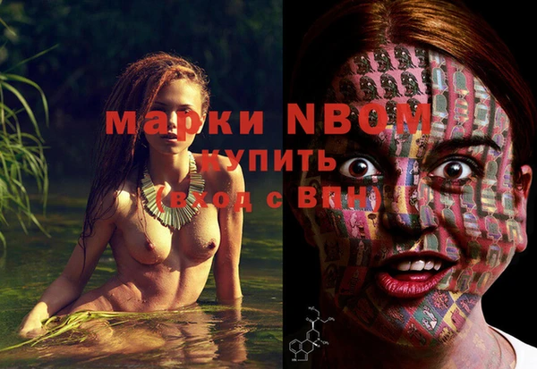 индика Михайловка
