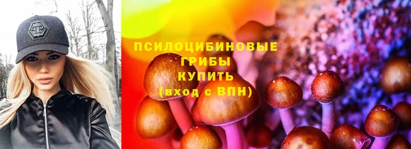 индика Михайловка