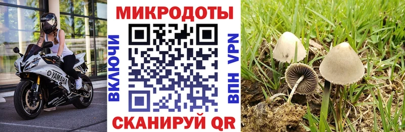Галлюциногенные грибы Cubensis  Ильский 